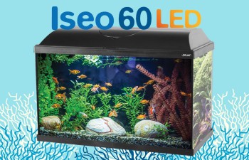 Illuminazione a Led per acquario - Petingros blog