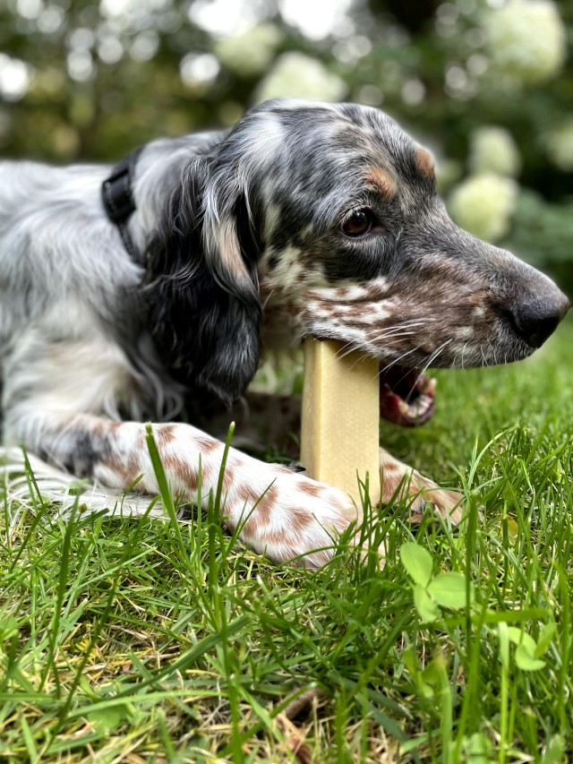 Masticativi Cheese bone latte di yack