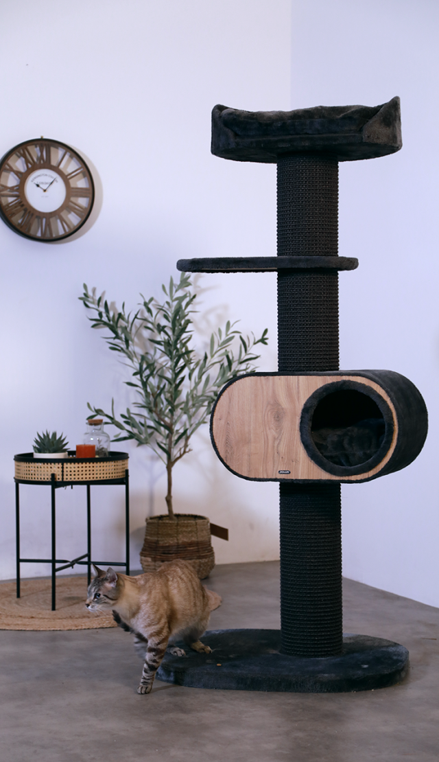 Tiragraffi grandi gatti