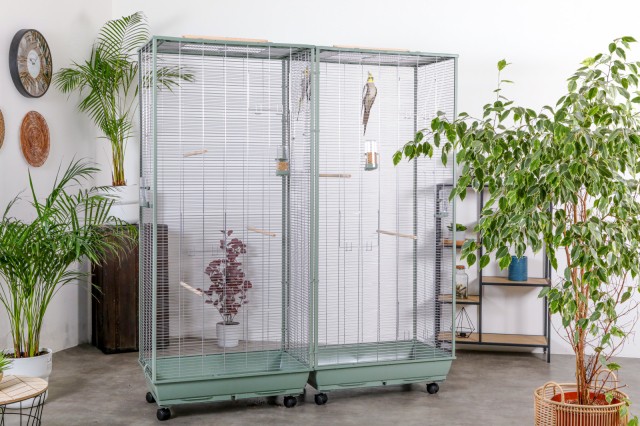 Volières Connectables - Neolife-Connect