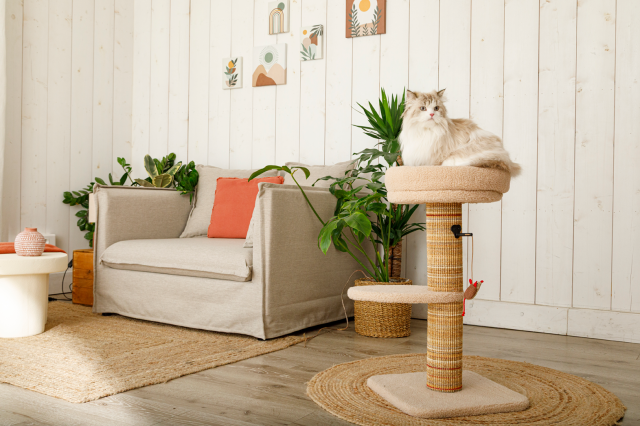 Albero per gatti 70 cm Boreal Zolux