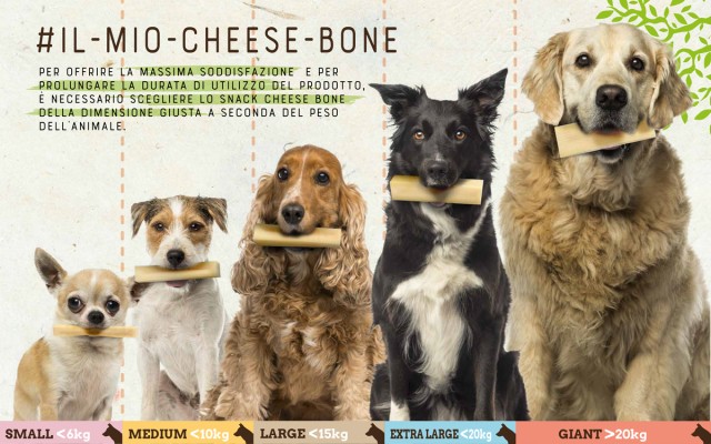 Dimensioni Cheese Bone