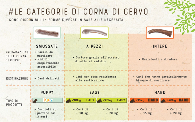 Categorie di corna di cervo