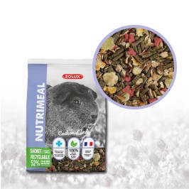 PORCELLINO D'INDIA - MIX