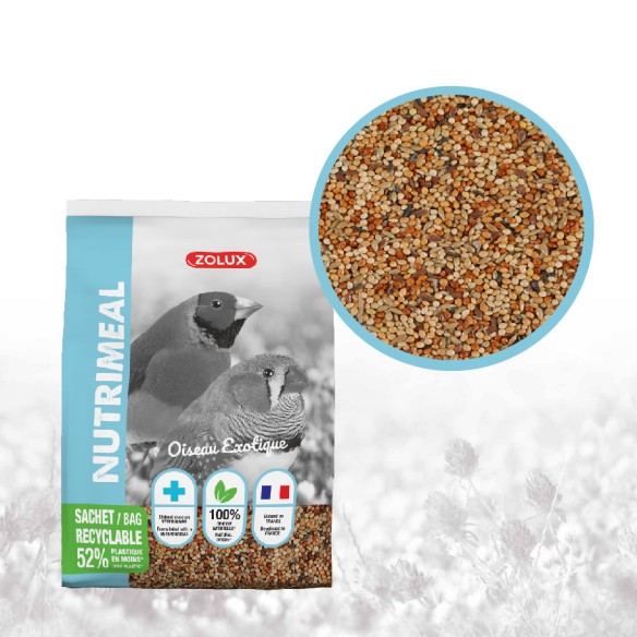 UCCELLI ESOTICI - MIX