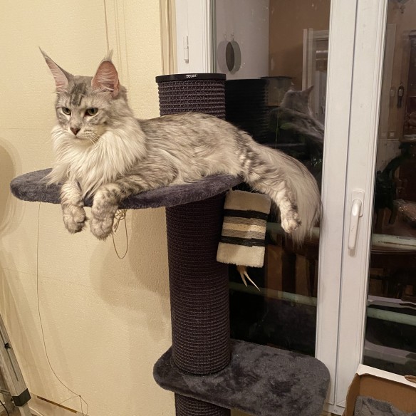 Foto della community numero 2