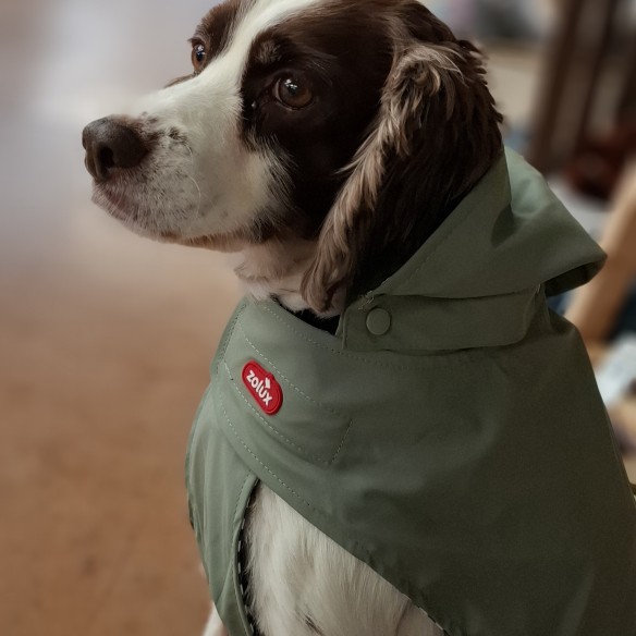 Foto della community numero 1