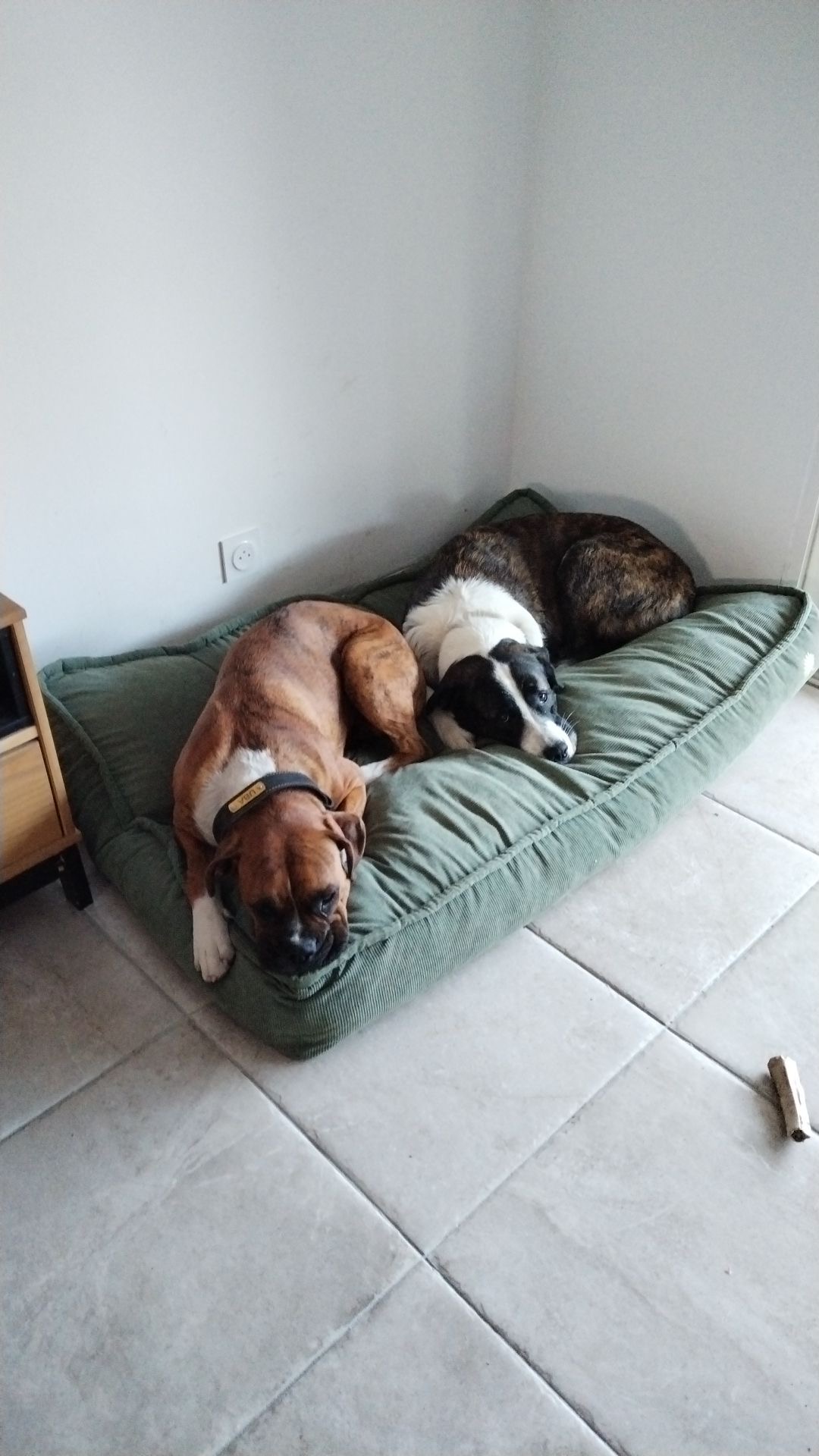 Foto della community numero 280