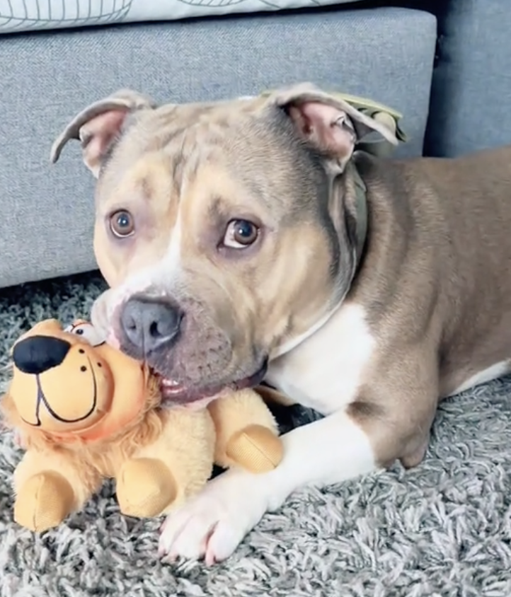 Foto della community numero 287