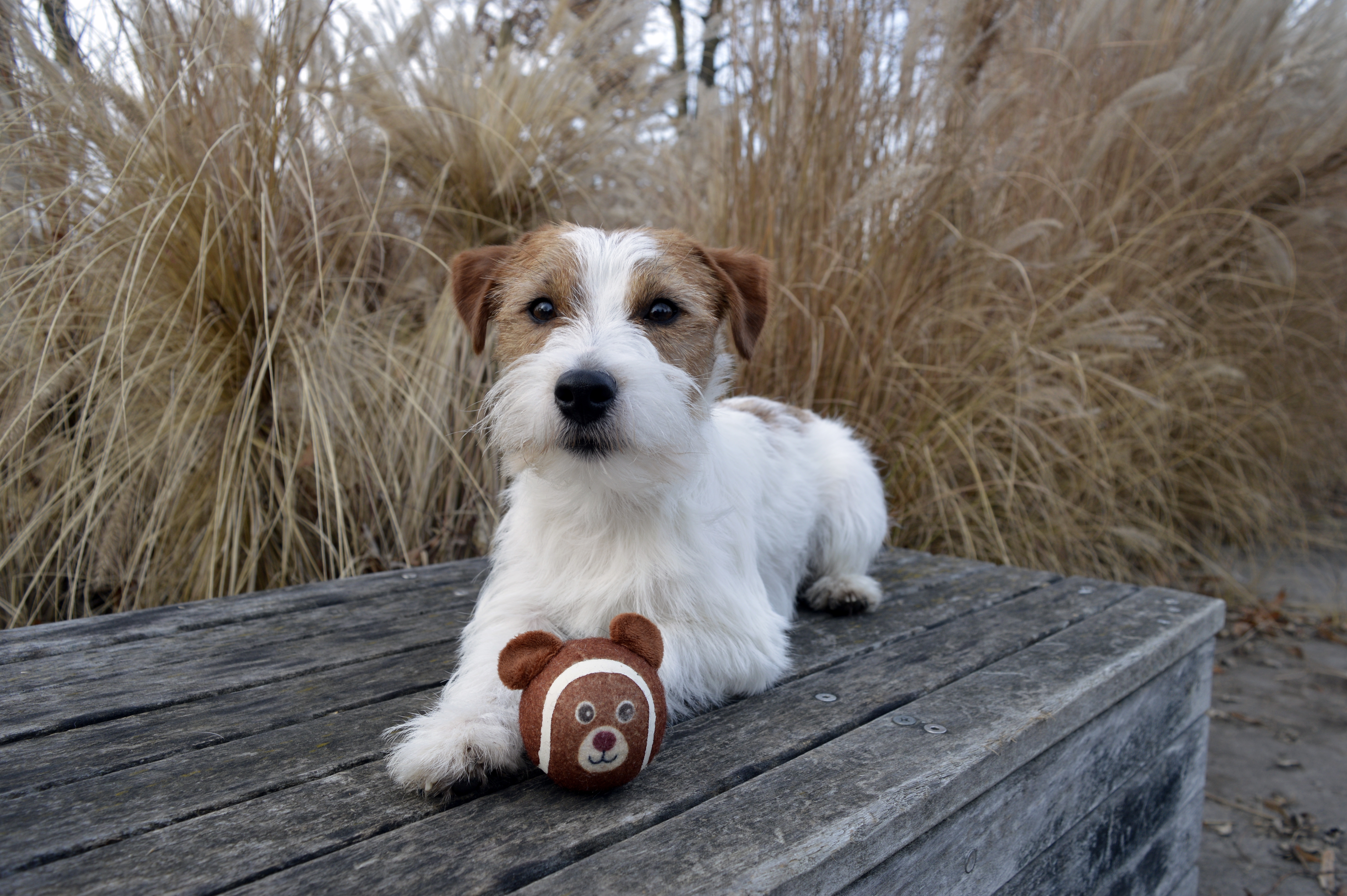 Foto della community numero 288