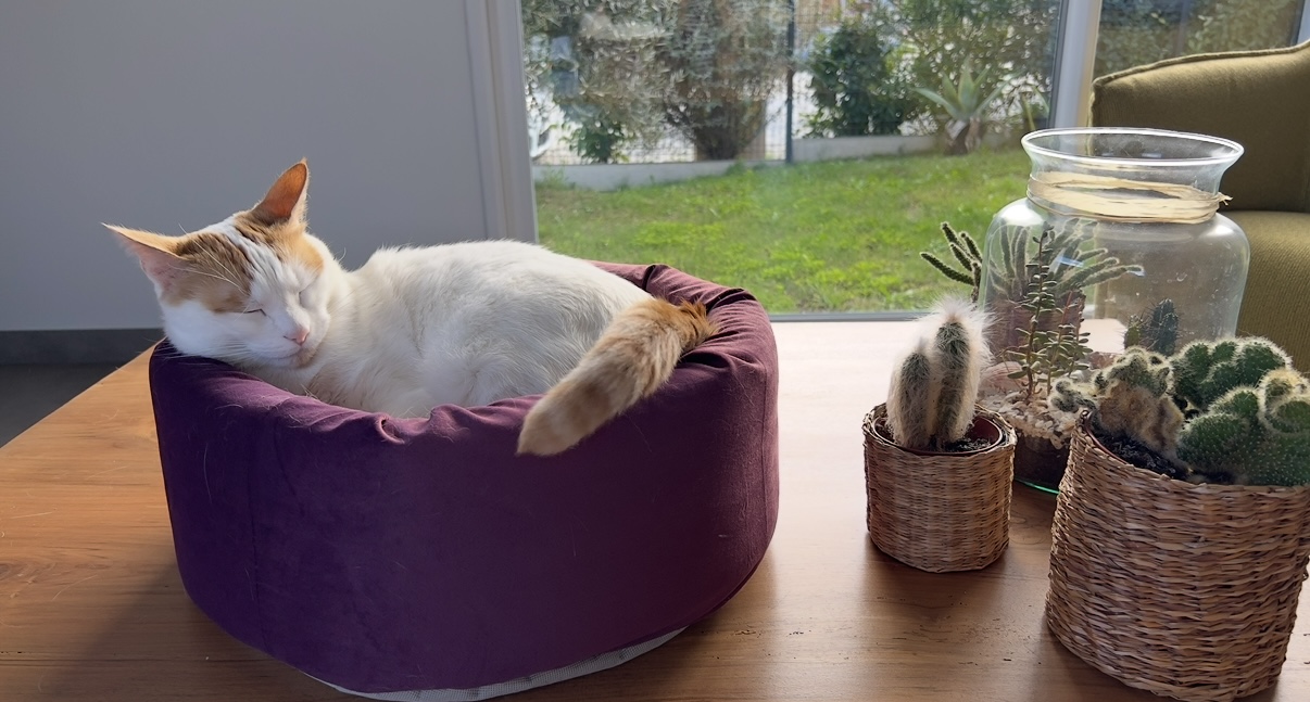 Foto della community numero 290