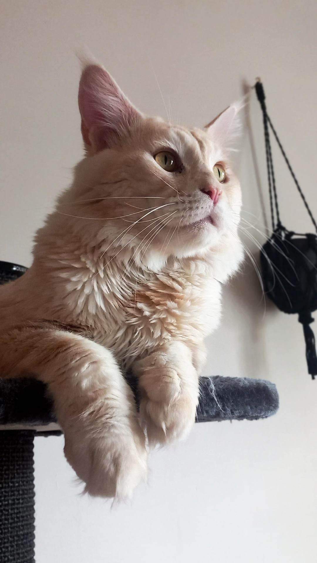 Foto della community numero 292