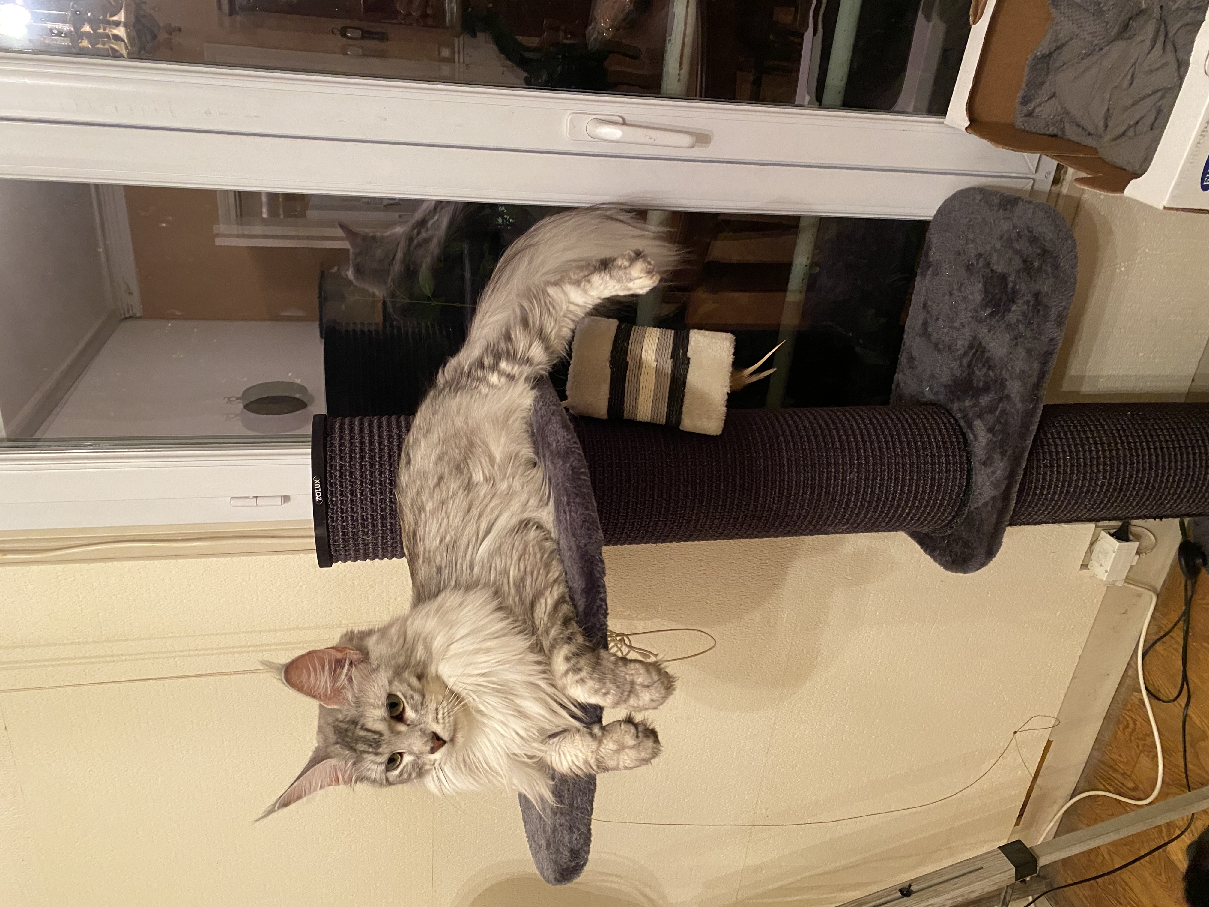 Foto della community numero 293