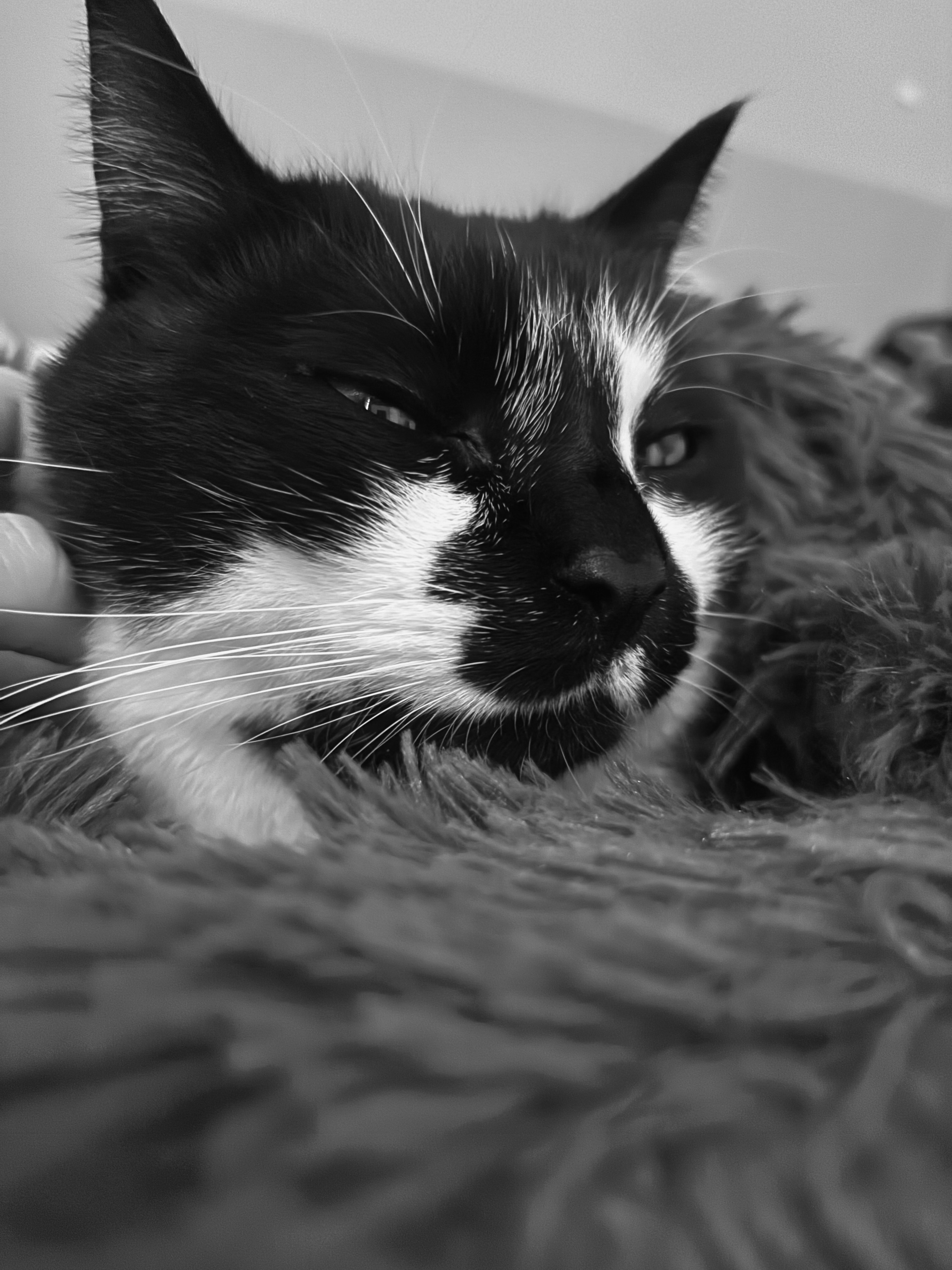 Foto della community numero 294